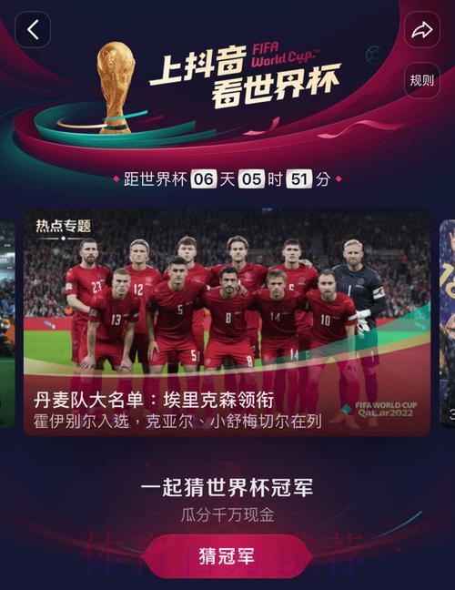 世界杯直播版权的经济博弈与法律走向深度解析