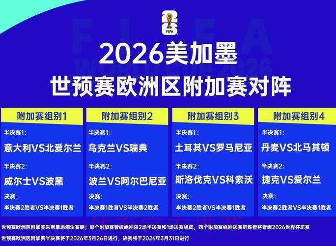 2026世界杯赛事比分：主客队全方位数据统计详解